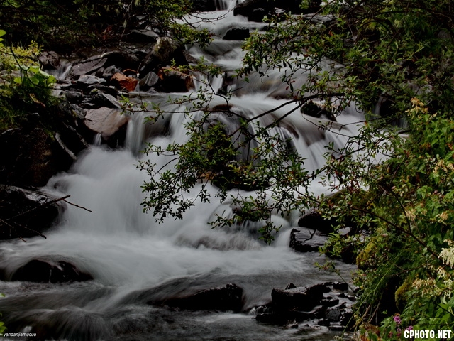 **_5D ydjmc06963.JPG