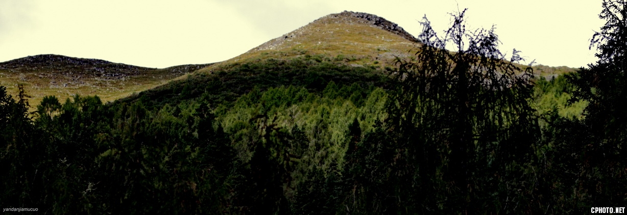 **_7D ydjmc03138.JPG