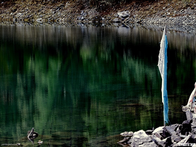 **_7D ydjmc03167.JPG
