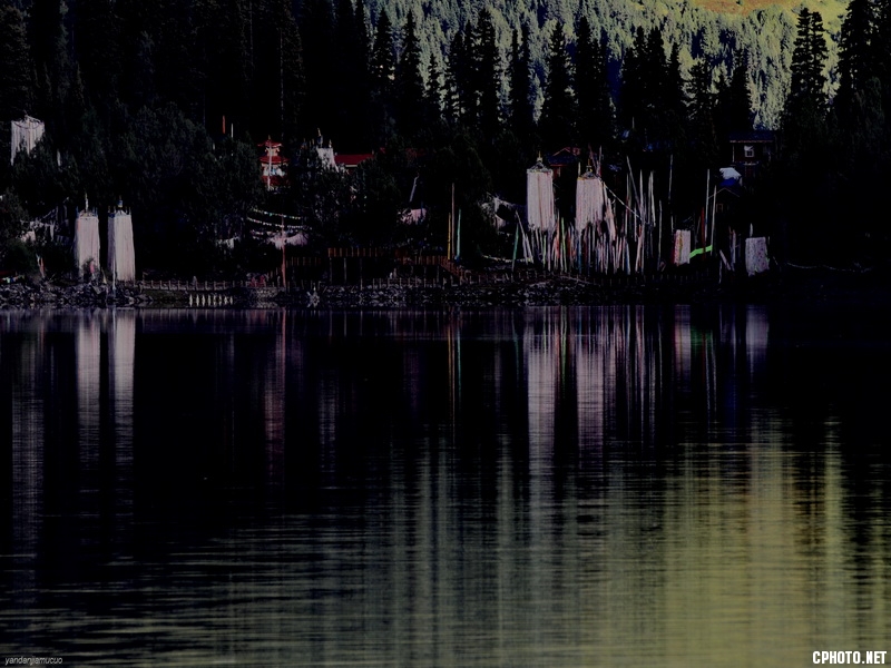 **_7D ydjmc03150.JPG