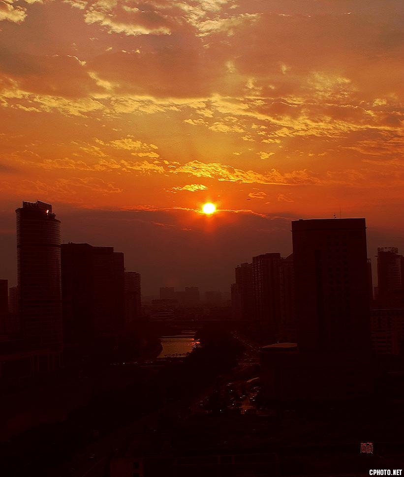 夕阳红