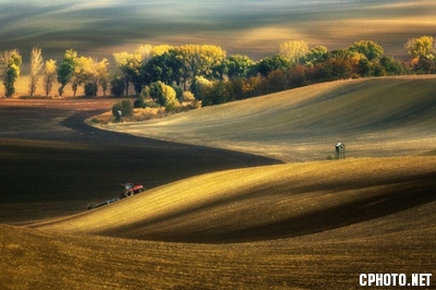 （西班牙）PFSGSPC金牌-Autumn fields.jpg