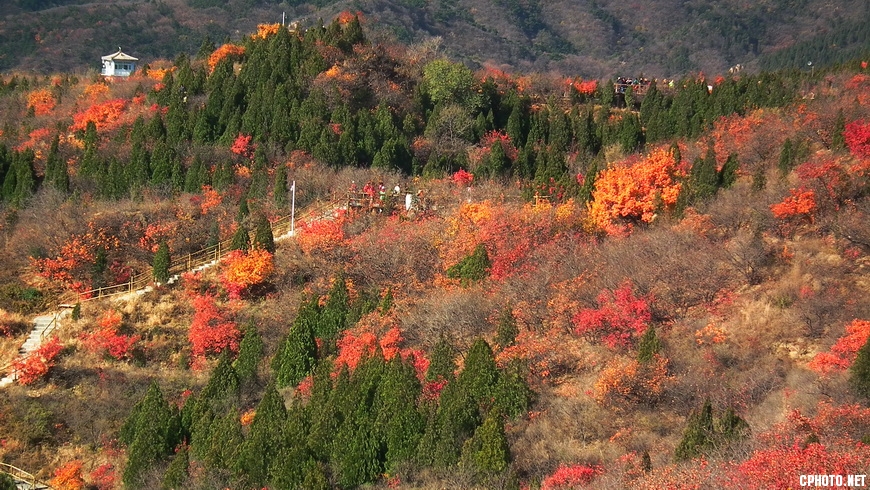 DSCF0014 .JPG