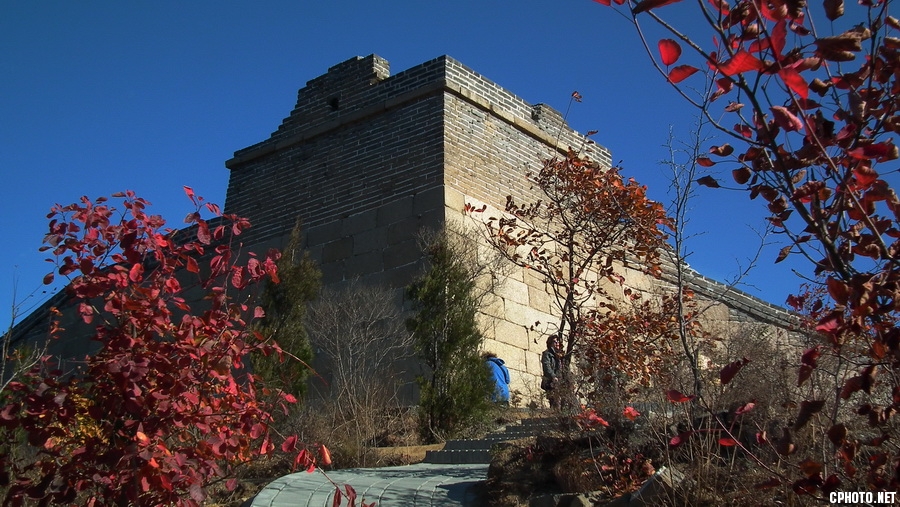 DSCF0036 .JPG