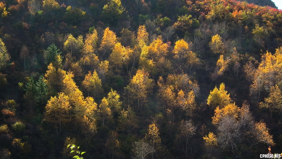 DSCF0003 .JPG