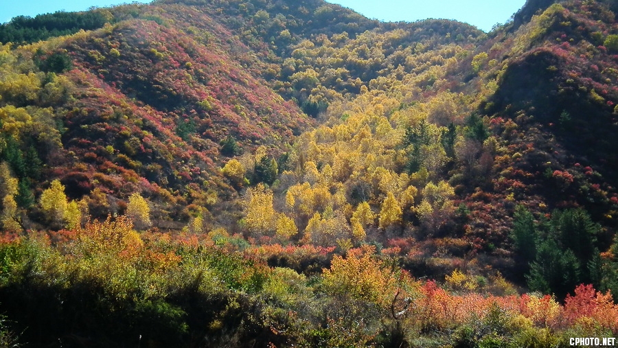 DSCF0005 .JPG