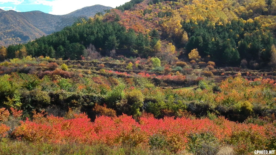 DSCF0008 .JPG