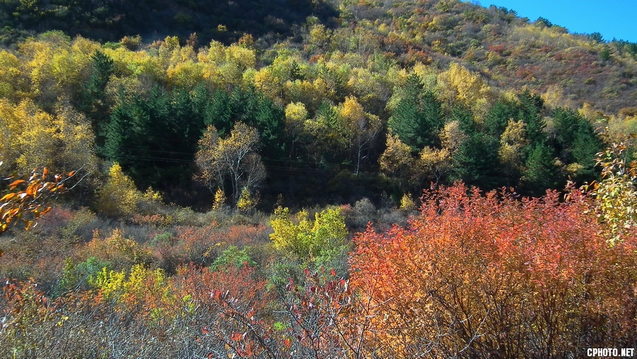 DSCF0028 .JPG