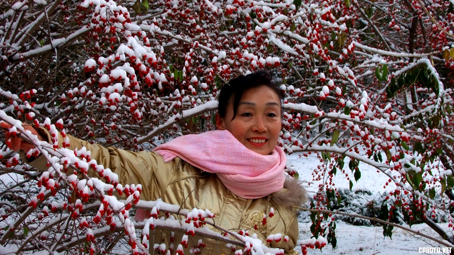 我爱你塞北的雪