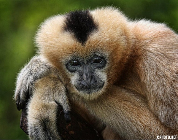 p_0553.jpg