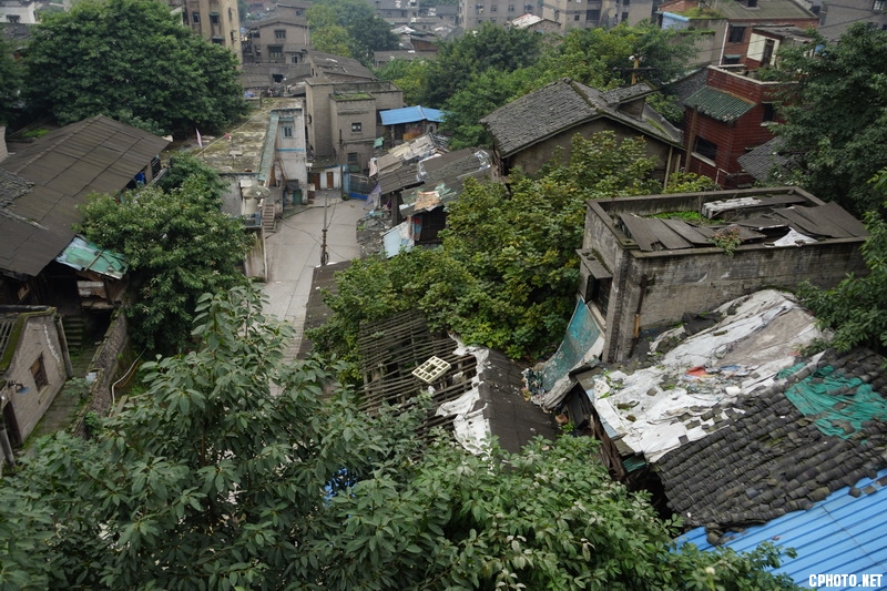 DSC05941－800.jpg