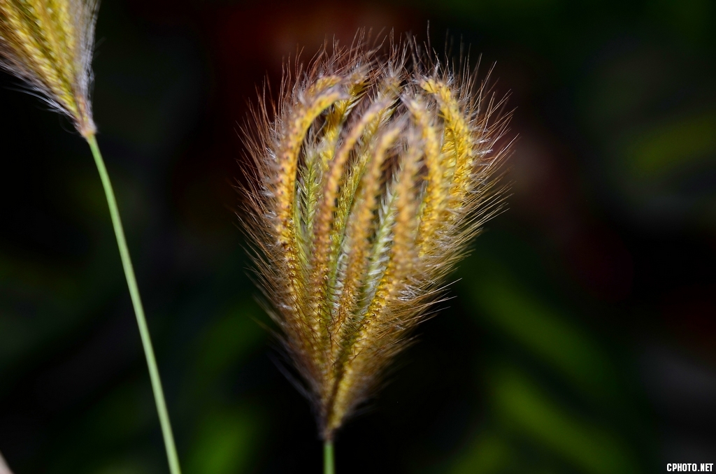 DSC_5697_副本s.jpg