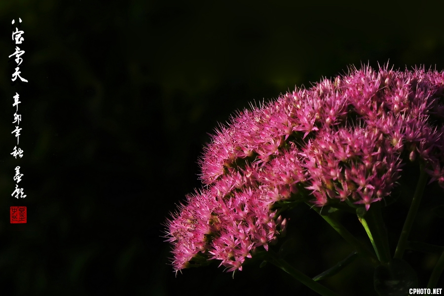 DSCF3417-1.jpg