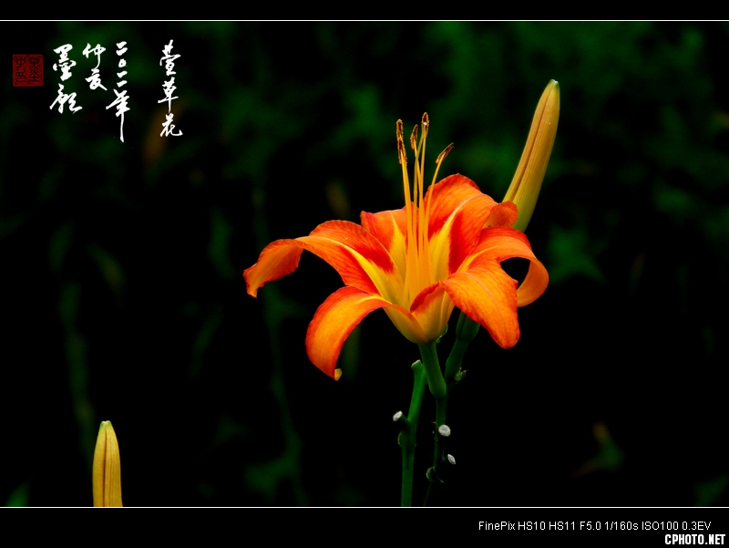 DSCF2969-2.jpg