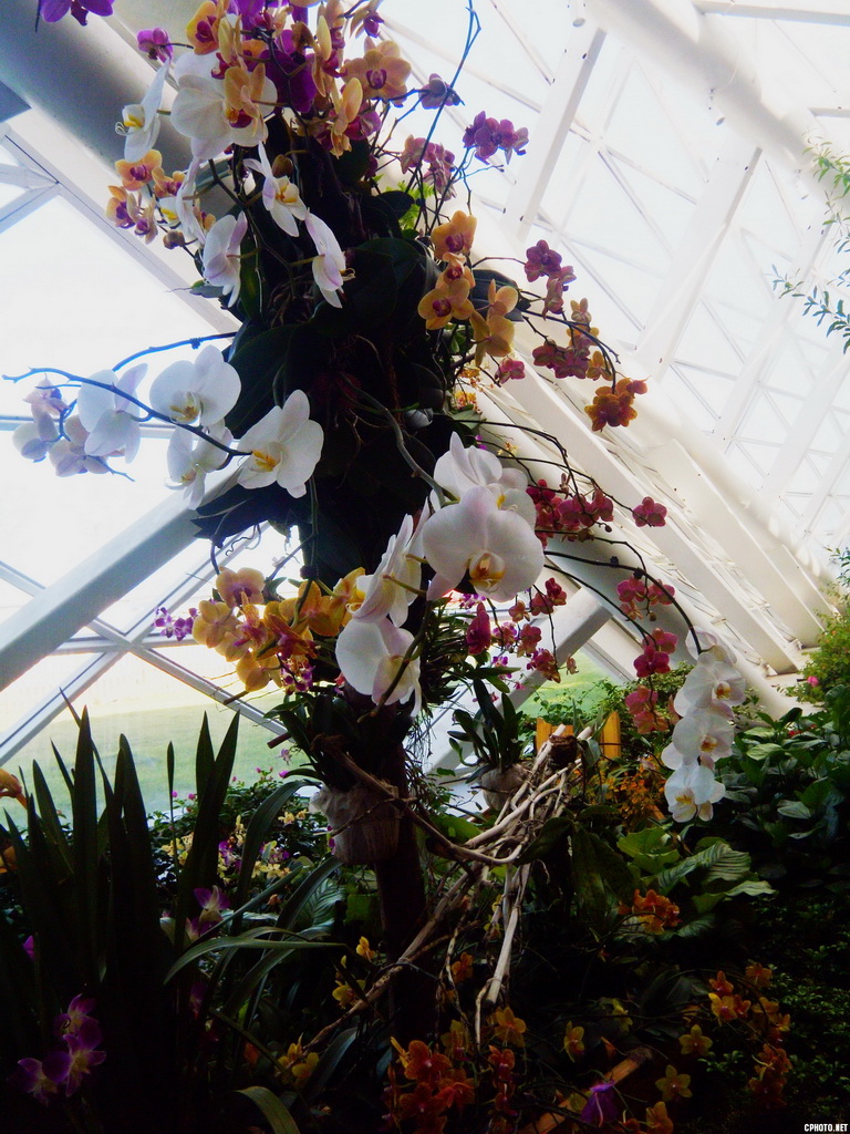 DSCN0406_调整大小.JPG