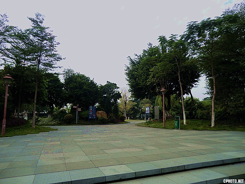 佛山冬景