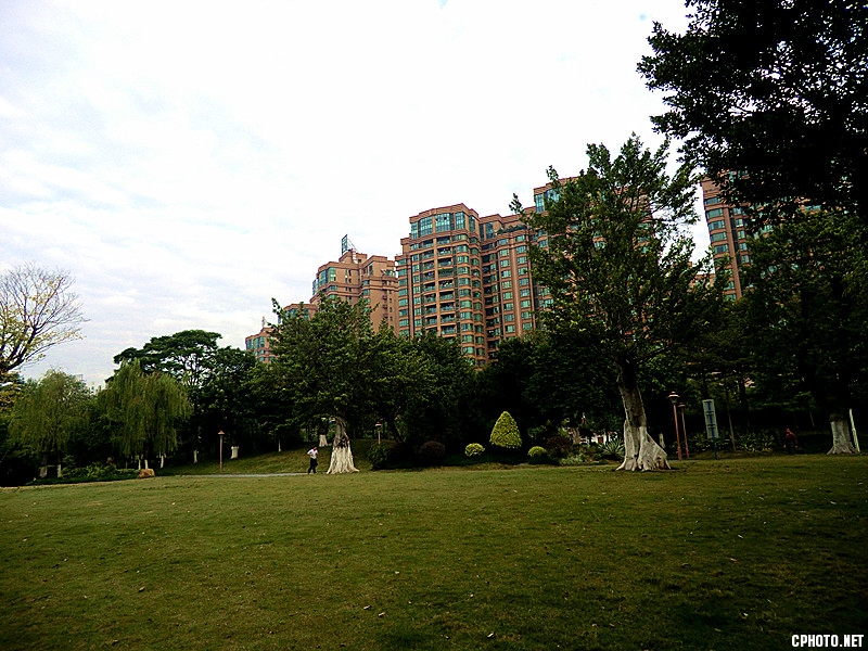 佛山冬景