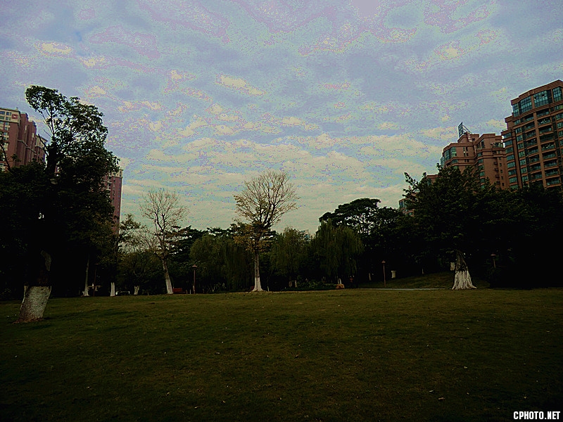 佛山冬景