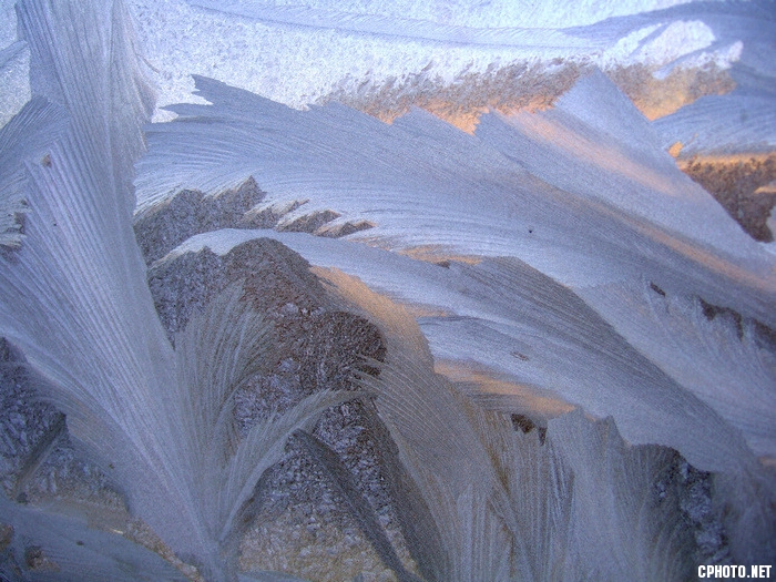 2009_0114100006.jpg