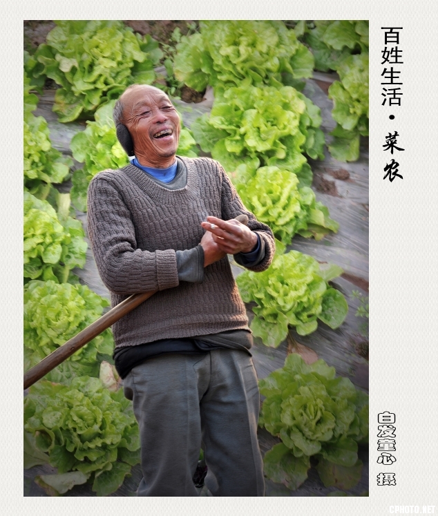 6百姓生活·菜农.jpg