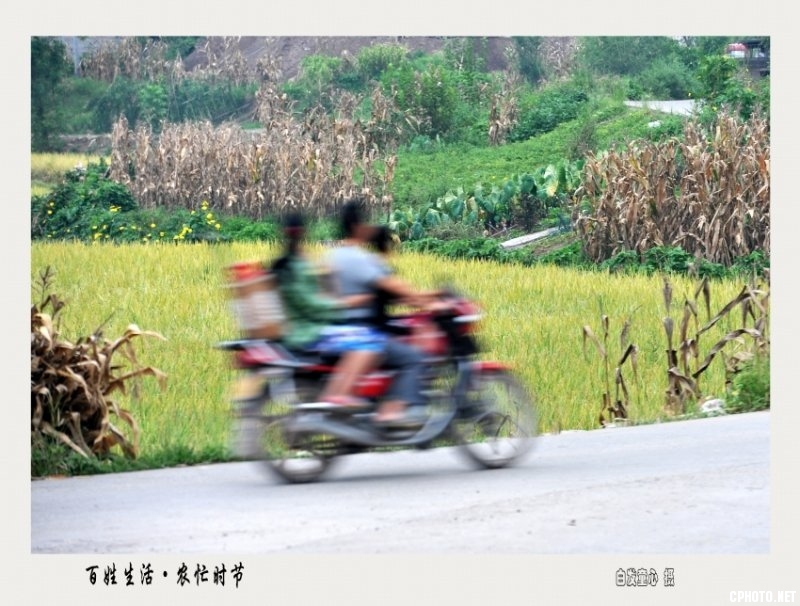 10百姓生活·农忙时节.jpg