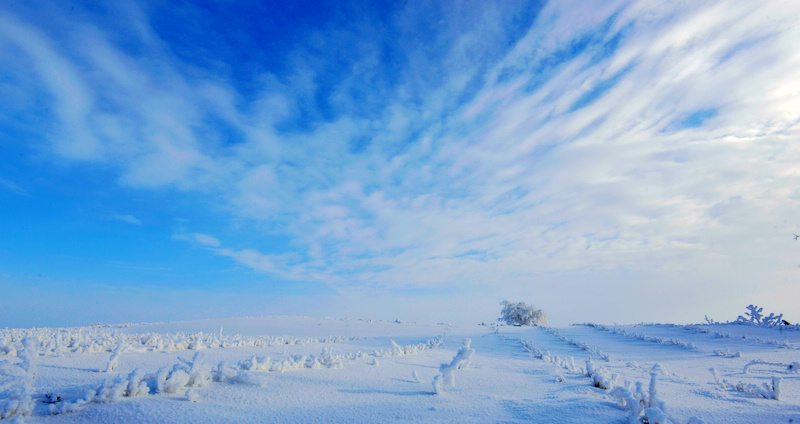 _DSC7060.JPG