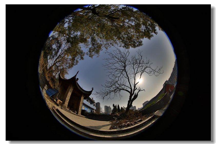 长春观掠影 (17).jpg
