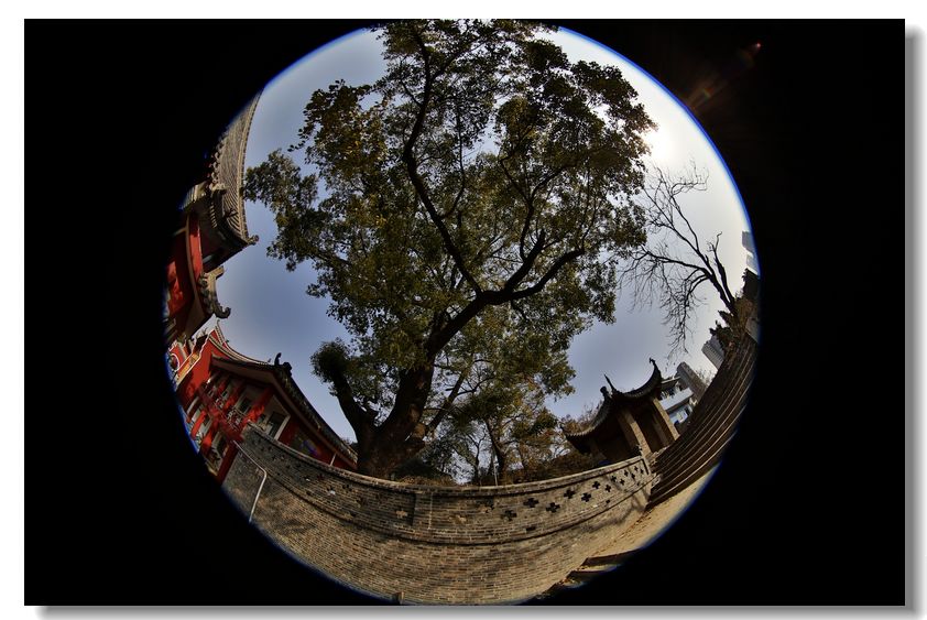 长春观掠影 (19).jpg