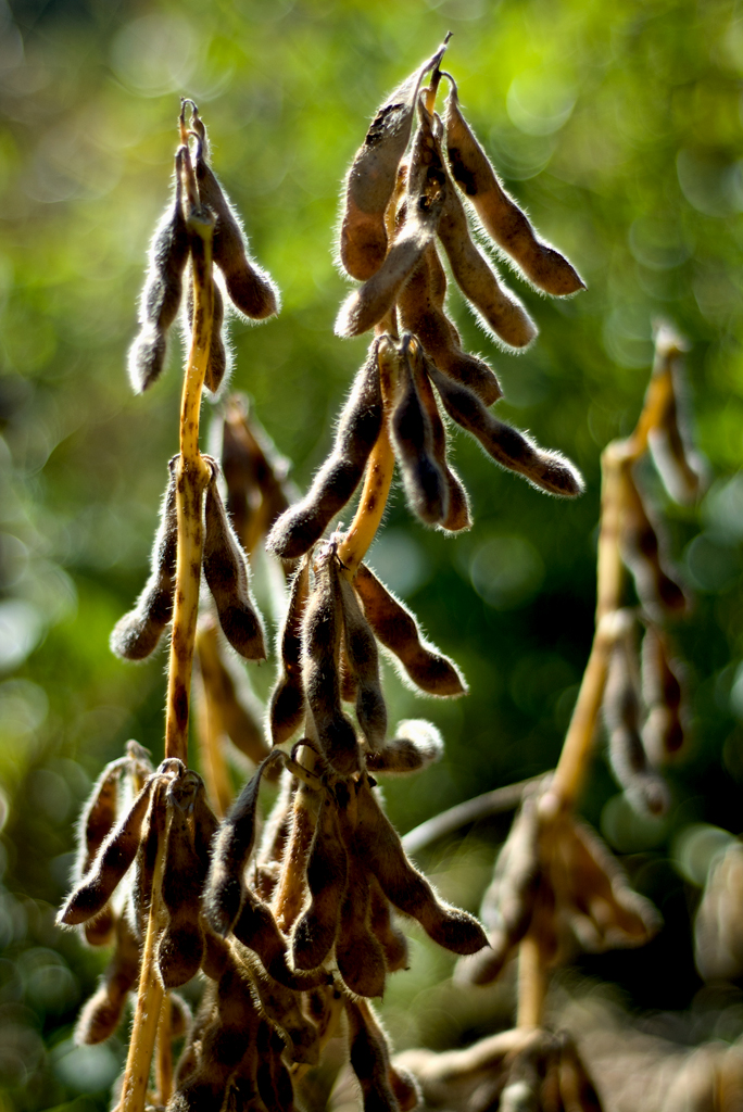 DSC_7108.jpg117.jpg