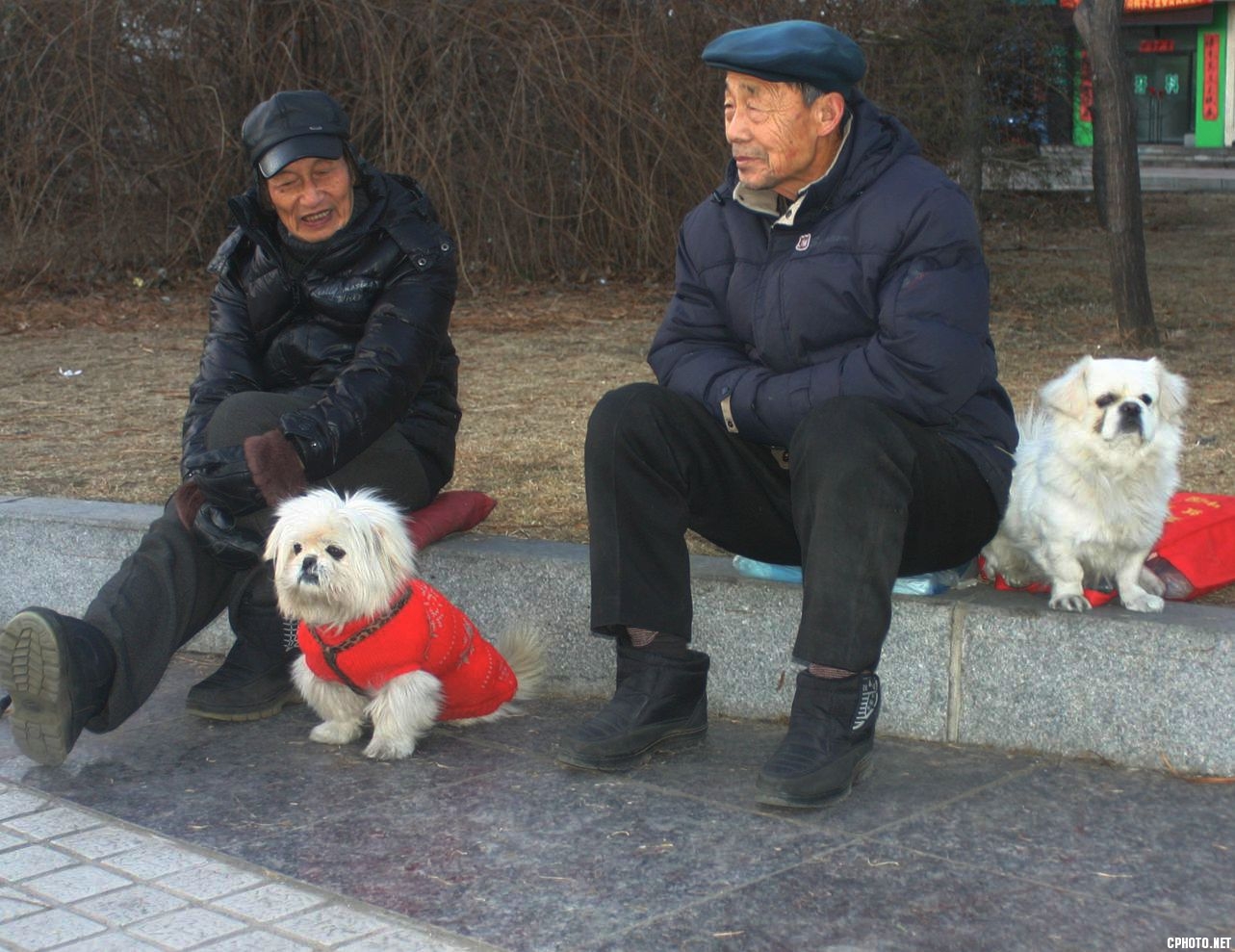 “陪伴”