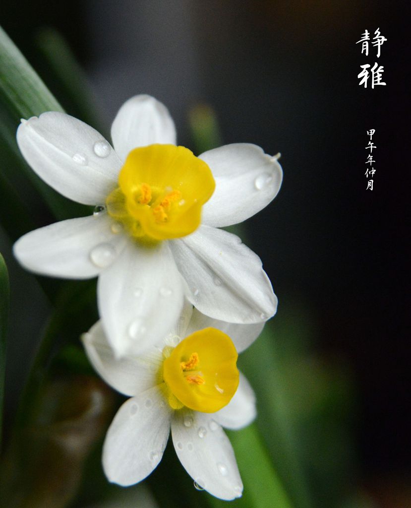 DSC_0930_副本_副本.jpg