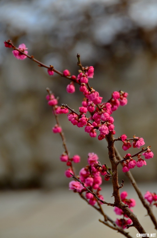 DSC_0033_调整大小.JPG