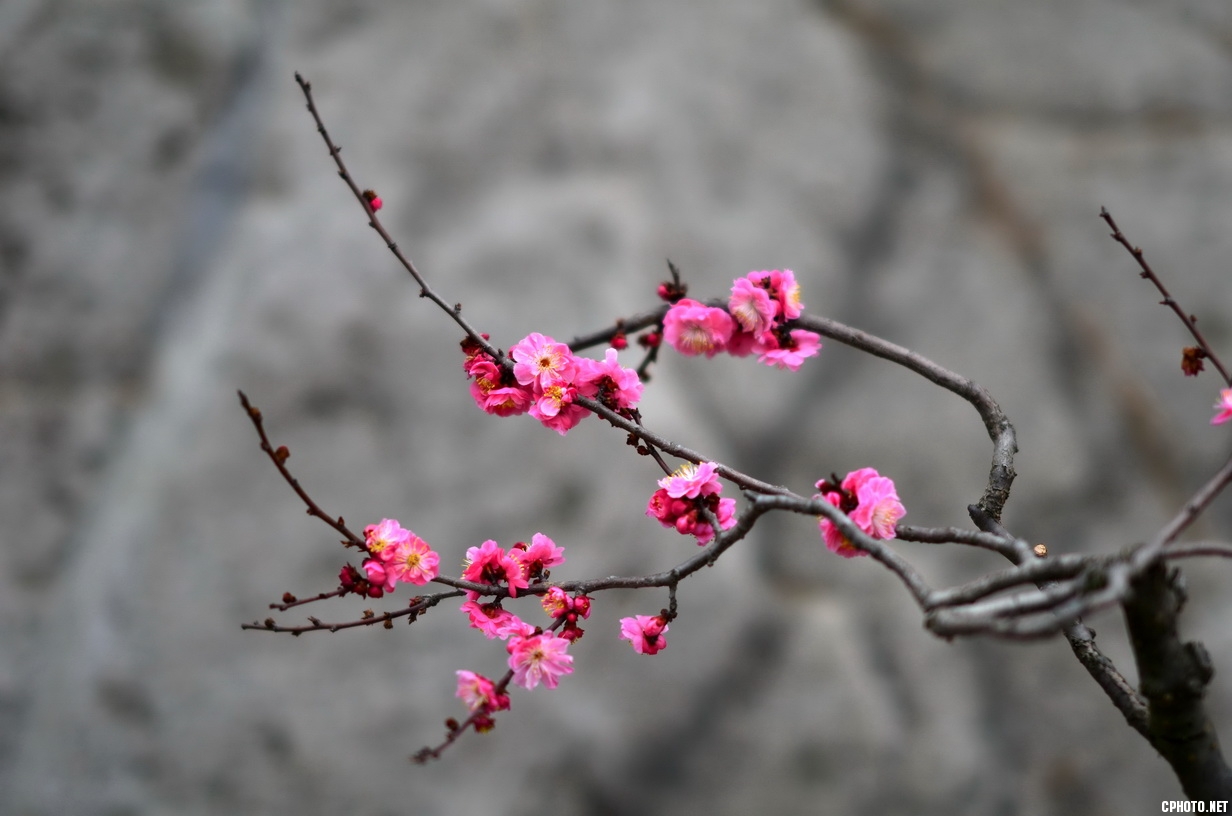 DSC_0172-1_调整大小.jpg