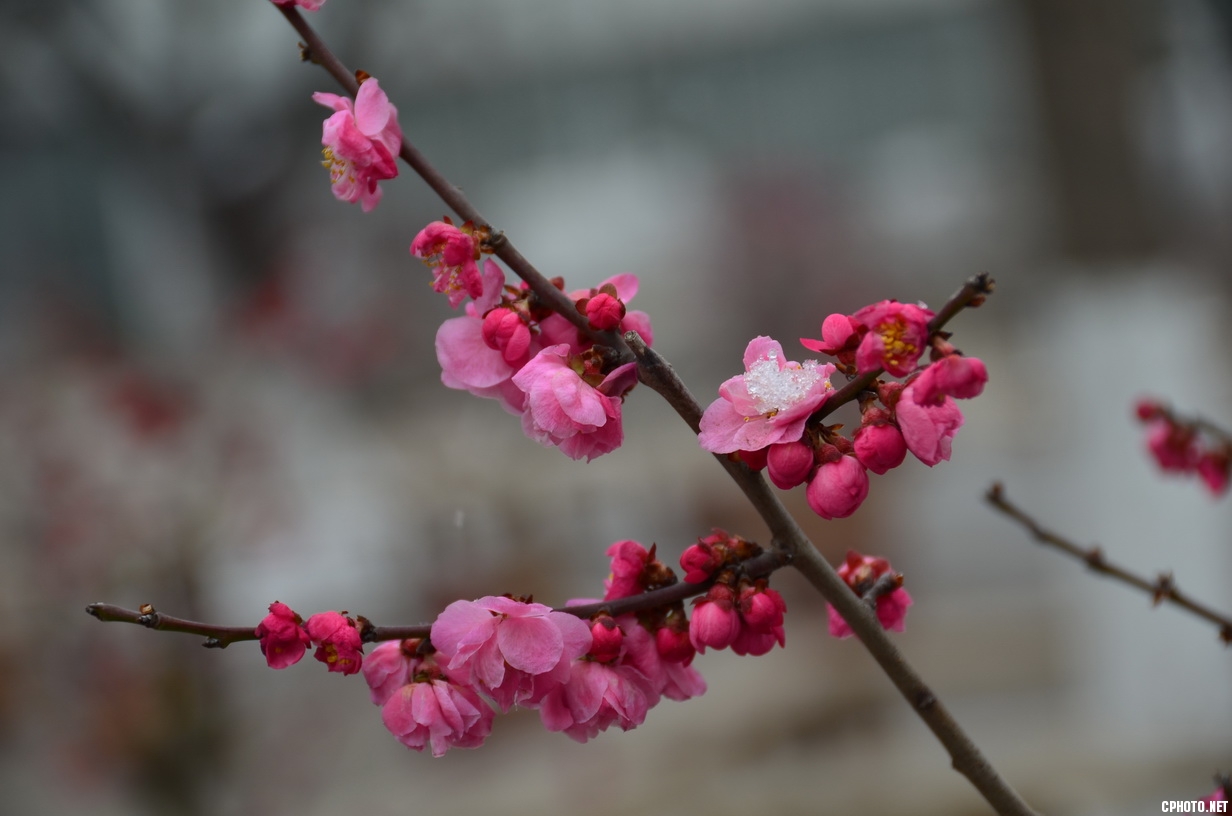 DSC_0418_调整大小.JPG