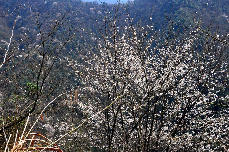 DSC_0032.JPG