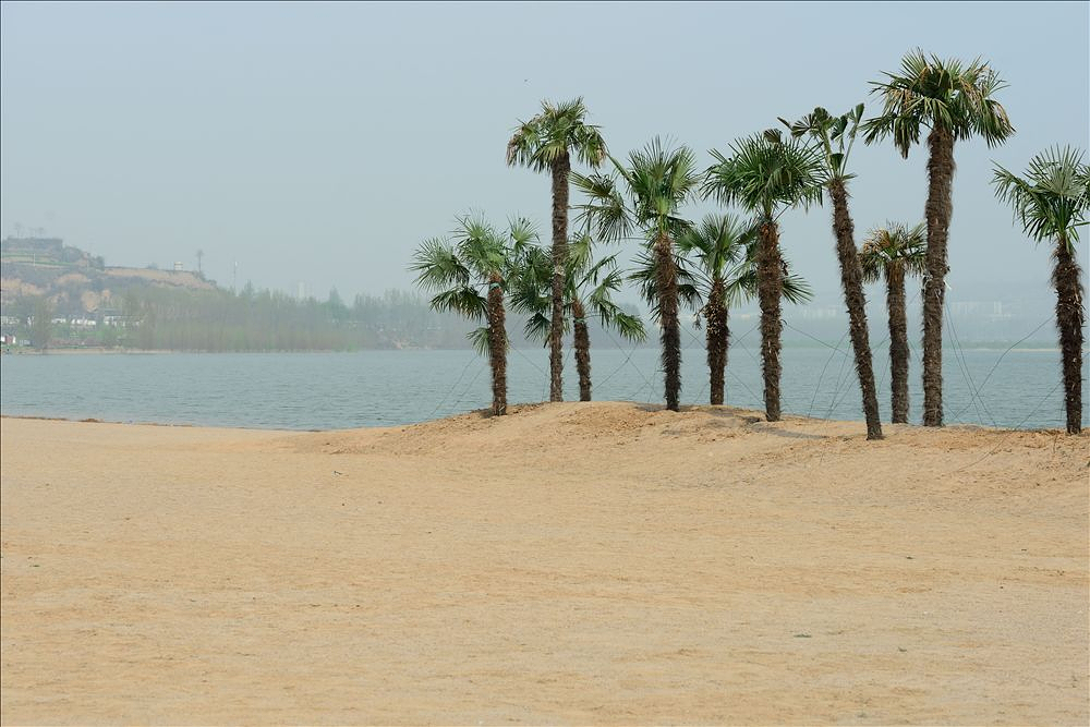 2014.04.09千阳湿地4.jpg