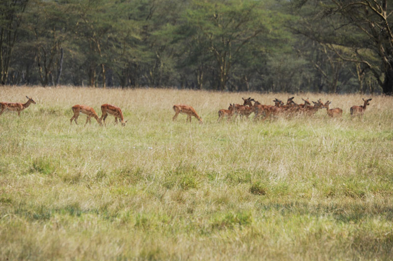DSC_9511.jpg