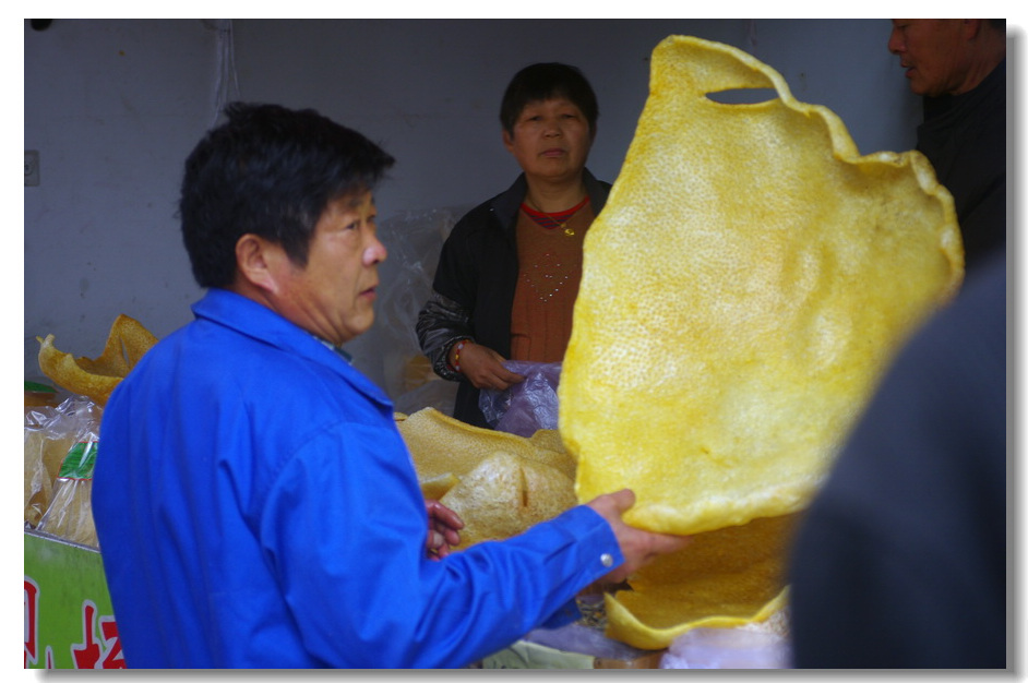 IMGP1049_调整大小.JPG