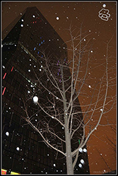 冬.jpg