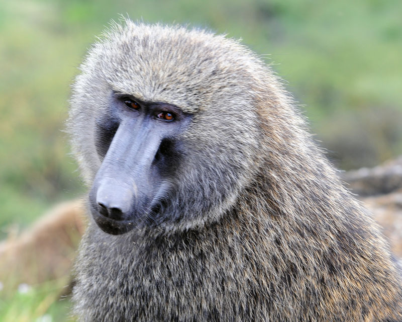 DSC_9811.jpg
