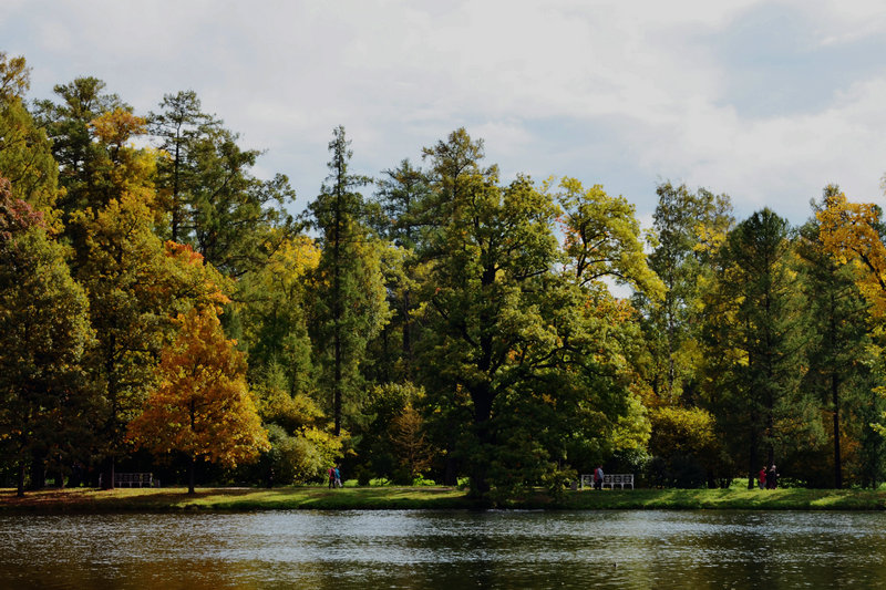 DSC_0012.jpg