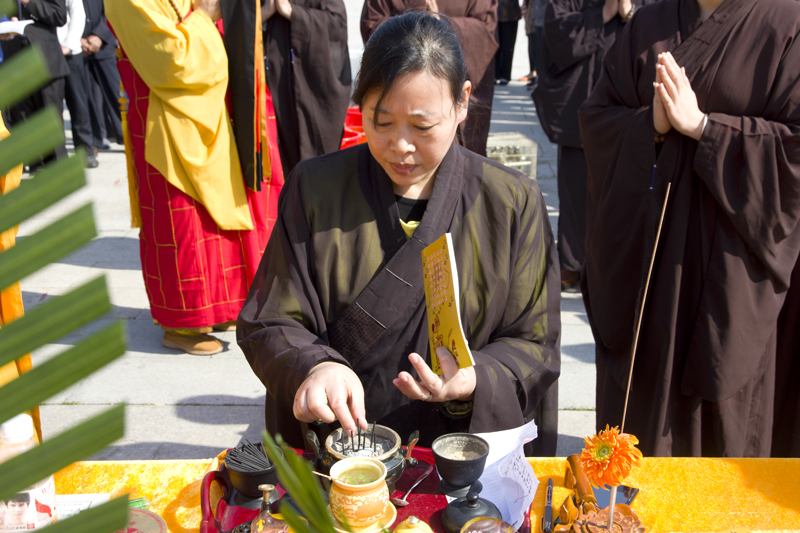 IMG_4896.jpg
