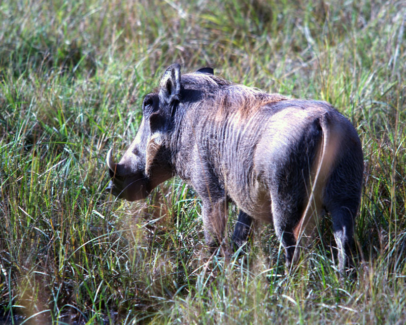 DSC_2665.jpg