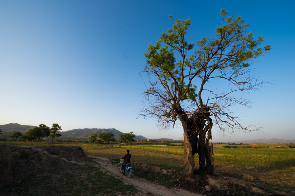 20140511-小宁-105.jpg