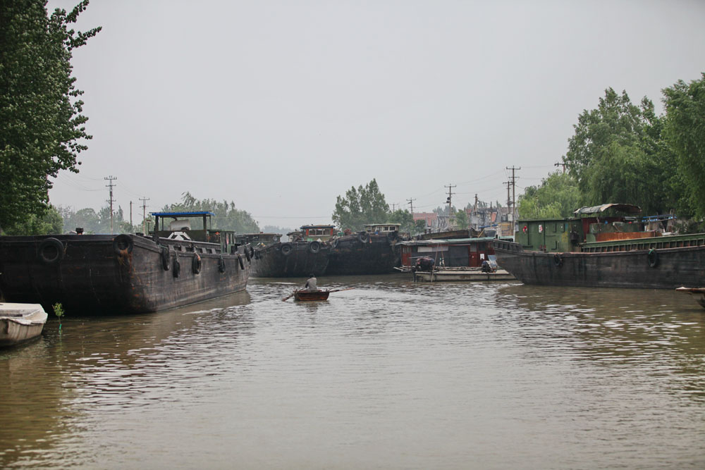 IMG_9110.jpg