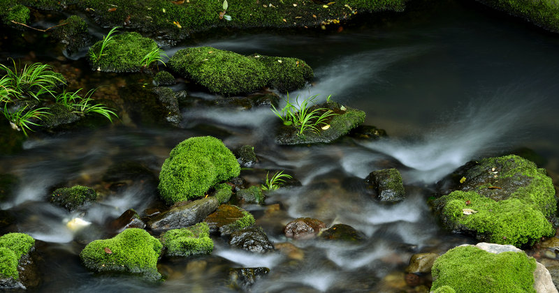 _DSC4004_副本.jpg