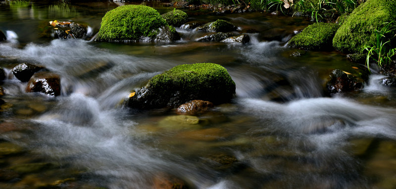 _DSC4006_副本.jpg