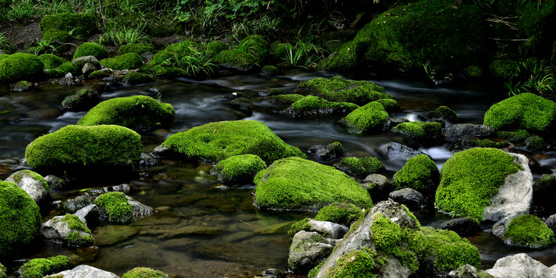 _DSC4022_副本.jpg