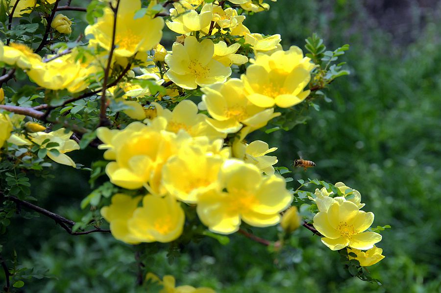 DSC_8995.JPG