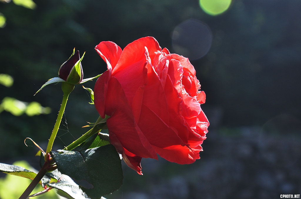 DSC_0004.JPG